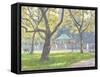 Boat Pond, Central Park-Julian Barrow-Framed Stretched Canvas