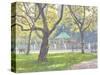 Boat Pond, Central Park-Julian Barrow-Stretched Canvas