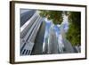 Boat Quay, Singapore, Southeast Asia-Frank Fell-Framed Photographic Print