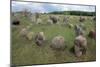 Boat-Shaped Grave for Tribal Leaders, Viking Burial Site, Lindholm Hoje, Aalborg, Jutland, Denmark-null-Mounted Giclee Print