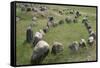 Boat-Shaped Grave for Tribal Leaders, Viking Burial Site, Lindholm Hoje, Aalborg, Jutland, Denmark-null-Framed Stretched Canvas