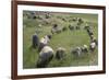 Boat-Shaped Grave for Tribal Leaders, Viking Burial Site, Lindholm Hoje, Aalborg, Jutland, Denmark-null-Framed Giclee Print