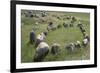 Boat-Shaped Grave for Tribal Leaders, Viking Burial Site, Lindholm Hoje, Aalborg, Jutland, Denmark-null-Framed Giclee Print