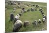 Boat-Shaped Grave for Tribal Leaders, Viking Burial Site, Lindholm Hoje, Aalborg, Jutland, Denmark-null-Mounted Giclee Print