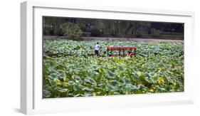 Boat Tourists in Lotus Pond Purple Bamboo Park, Beijing-William Perry-Framed Photographic Print