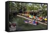 Boat Tours on the Riverwalk in Downtown San Antonio, Texas, USA-Chuck Haney-Framed Stretched Canvas