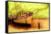 Boat VI-Ynon Mabat-Framed Stretched Canvas