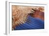 Boat Wake II-Kathy Mahan-Framed Photographic Print