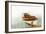 Boat with Textured Wood Look II-Ynon Mabat-Framed Premium Giclee Print