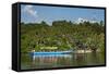 Boat with Tourists Shipping around the Source of the Nile, Jinja, Uganda, East Africa, Africa-Michael-Framed Stretched Canvas