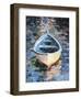 Boat XVIII-Kim McAninch-Framed Art Print