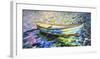 Boat XXI-Kim McAninch-Framed Giclee Print