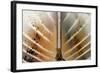 Boat-Ursula Abresch-Framed Photographic Print