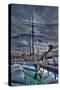 Boat-Robert Kaler-Stretched Canvas