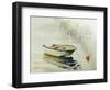 Boat-DeepGreen-Framed Photographic Print