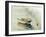 Boat-DeepGreen-Framed Photographic Print