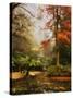 Boathouse, Alfred Nicholas Gardens, Dandenong Ranges, Victoria, Australia, Pacific-Schlenker Jochen-Stretched Canvas