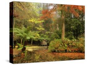 Boathouse, Alfred Nicholas Gardens, Dandenong Ranges, Victoria, Australia, Pacific-Schlenker Jochen-Stretched Canvas