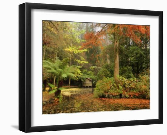 Boathouse, Alfred Nicholas Gardens, Dandenong Ranges, Victoria, Australia, Pacific-Schlenker Jochen-Framed Photographic Print