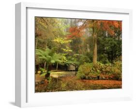 Boathouse, Alfred Nicholas Gardens, Dandenong Ranges, Victoria, Australia, Pacific-Schlenker Jochen-Framed Photographic Print