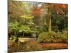 Boathouse, Alfred Nicholas Gardens, Dandenong Ranges, Victoria, Australia, Pacific-Schlenker Jochen-Mounted Photographic Print