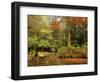 Boathouse, Alfred Nicholas Gardens, Dandenong Ranges, Victoria, Australia, Pacific-Schlenker Jochen-Framed Photographic Print