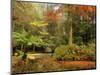 Boathouse, Alfred Nicholas Gardens, Dandenong Ranges, Victoria, Australia, Pacific-Schlenker Jochen-Mounted Photographic Print