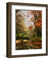 Boathouse, Alfred Nicholas Gardens, Dandenong Ranges, Victoria, Australia, Pacific-Schlenker Jochen-Framed Photographic Print