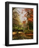 Boathouse, Alfred Nicholas Gardens, Dandenong Ranges, Victoria, Australia, Pacific-Schlenker Jochen-Framed Photographic Print