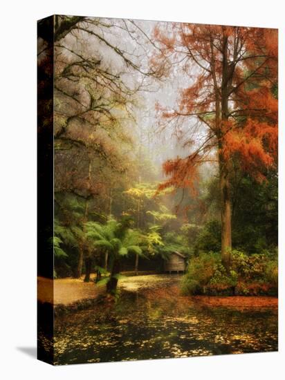 Boathouse, Alfred Nicholas Gardens, Dandenong Ranges, Victoria, Australia, Pacific-Schlenker Jochen-Stretched Canvas