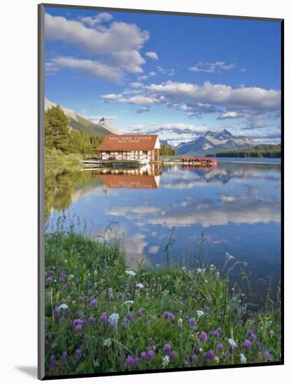 Boathouse and Maligne Lake, Jasper National Park, Alberta, Rockies, Canada-Michele Falzone-Mounted Photographic Print