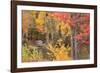 Boathouse In Autumn, Marquette, Michigan '12-Monte Nagler-Framed Photographic Print