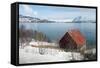 Boathouse on the Island of Kvaloya (Whale Island), Troms, Norway, Scandinavia, Europe-David Lomax-Framed Stretched Canvas