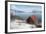 Boathouse on the Island of Kvaloya (Whale Island), Troms, Norway, Scandinavia, Europe-David Lomax-Framed Photographic Print