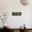Boathouse-Wayne Bradbury-Framed Stretched Canvas displayed on a wall