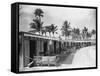 Boathouses at the Boca Raton Cabana Club-null-Framed Stretched Canvas