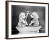 Boating Beagles-null-Framed Photographic Print