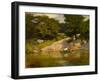 Boating in Central Park, C.1900-05 (Oil on Board)-Edward Henry Potthast-Framed Giclee Print