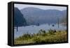 Boating, Periyar Tiger Reserve, Thekkady, Kerala, India, Asia-Balan Madhavan-Framed Stretched Canvas