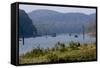 Boating, Periyar Tiger Reserve, Thekkady, Kerala, India, Asia-Balan Madhavan-Framed Stretched Canvas