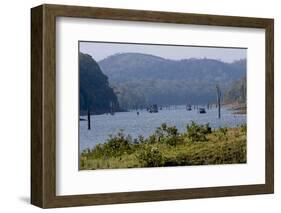 Boating, Periyar Tiger Reserve, Thekkady, Kerala, India, Asia-Balan Madhavan-Framed Photographic Print