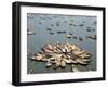 Boatmen Rest at Midday-null-Framed Photographic Print