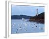 Boats and Lighthouse at Phare Du Portzic, Goulet De Brest, Finistere, Brittany, France-null-Framed Photographic Print