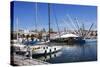 Boats and the Bigo at the Old Port in Genoa, Liguria, Italy, Europe-Mark Sunderland-Stretched Canvas