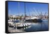 Boats and the Bigo at the Old Port in Genoa, Liguria, Italy, Europe-Mark Sunderland-Framed Stretched Canvas