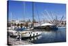 Boats and the Bigo at the Old Port in Genoa, Liguria, Italy, Europe-Mark Sunderland-Stretched Canvas