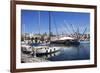 Boats and the Bigo at the Old Port in Genoa, Liguria, Italy, Europe-Mark Sunderland-Framed Photographic Print