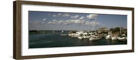 Boats at a Harbor, Martha's Vineyard, Dukes County, Massachusetts, USA-null-Framed Photographic Print