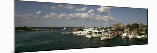 Boats at a Harbor, Martha's Vineyard, Dukes County, Massachusetts, USA-null-Mounted Photographic Print