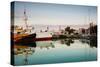 Boats at Maritime Museum, La Rochelle, Charente-Maritime, Poitou-Charentes, France-null-Stretched Canvas